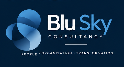 Blu Sky Consultancy